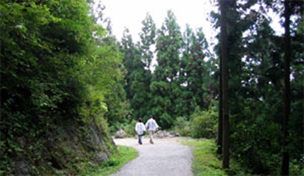 山の中腹のお寺へ続く道