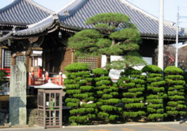 井戸寺の境内
