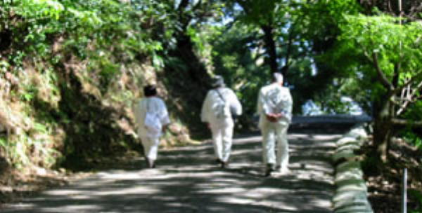 恩山寺の参道