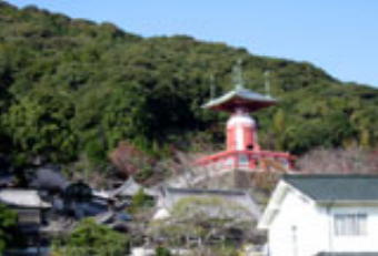 第23番薬王寺瑜祗塔を望む