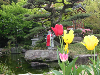 第６番安楽寺