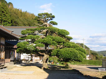 第22番平等寺