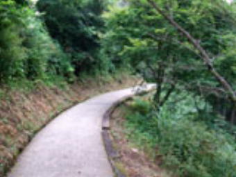 第60番横峰寺
