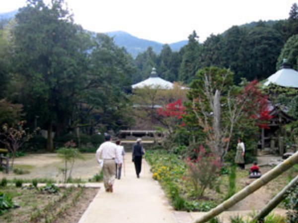 三角寺の境内