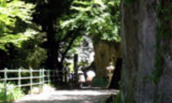 第85番八栗寺へ続く道