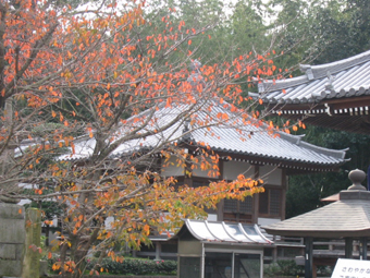 第72番曼荼羅寺