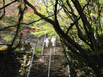 第82番根香寺