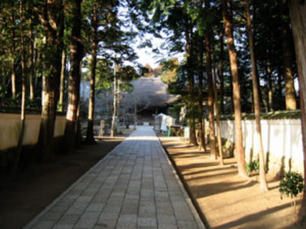 本堂へ続く道