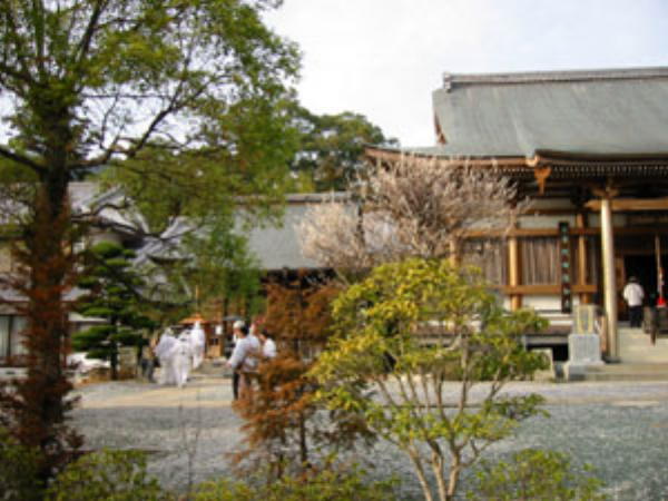 善楽寺の境内