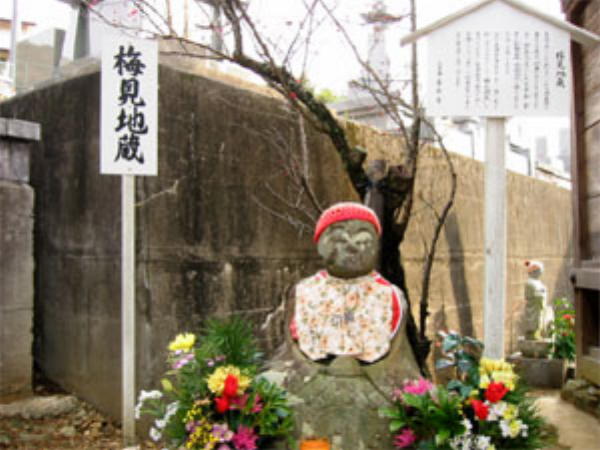善楽寺の梅見地蔵