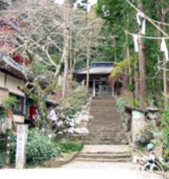 第36番青龍寺の石段と仁王門