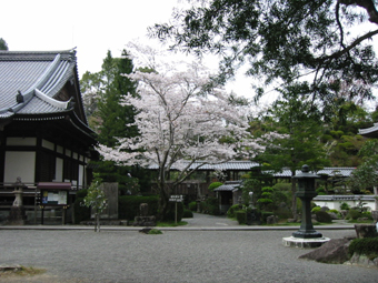 第39番延光寺